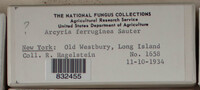 Image Associated With the Occurence